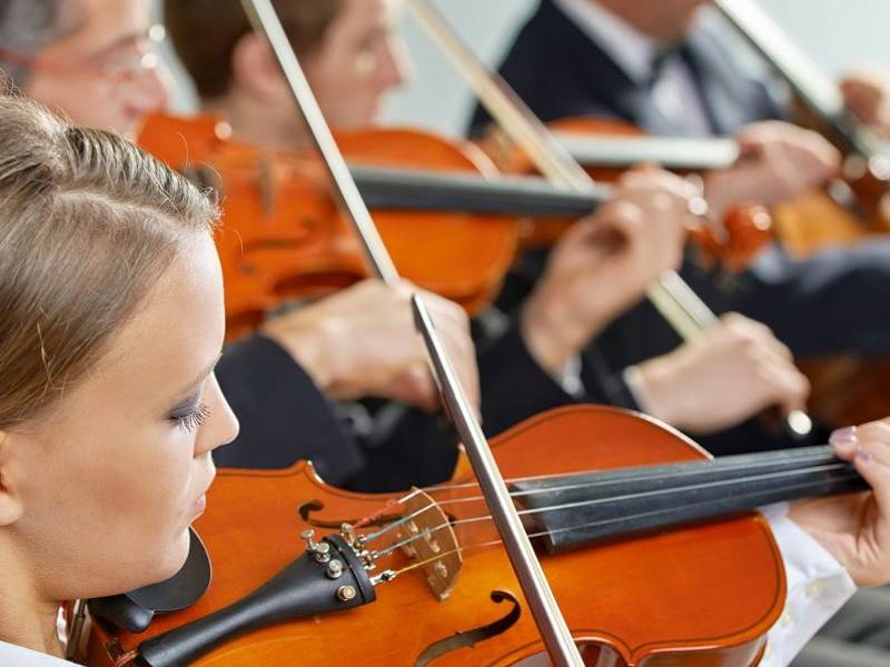 Theater-, Musik- & Tanz-Gruppen