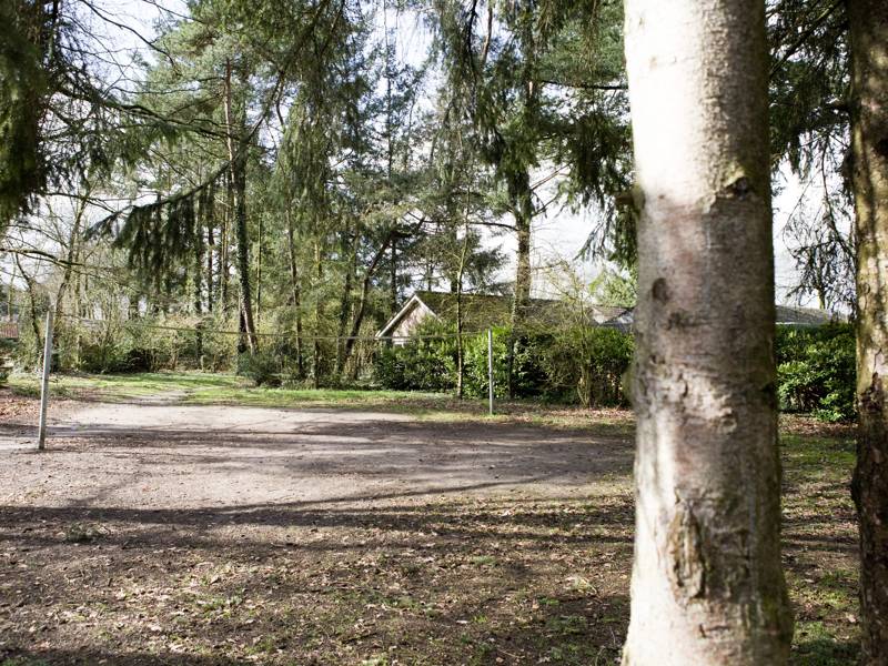 Een sportveld omringt door natuur.