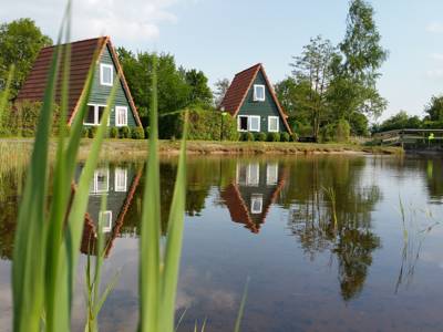 Groepsaccommodatie meerdere huisjes Bant - 48 personen